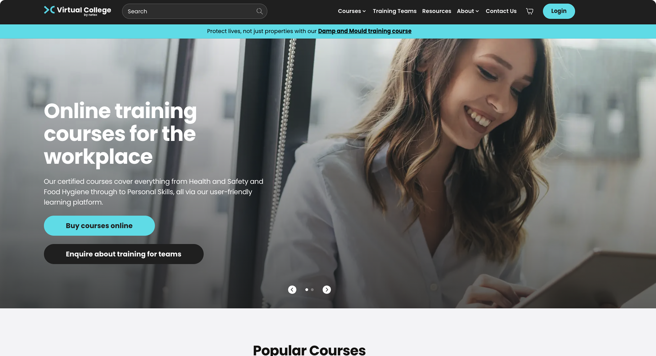 Virtual College Website